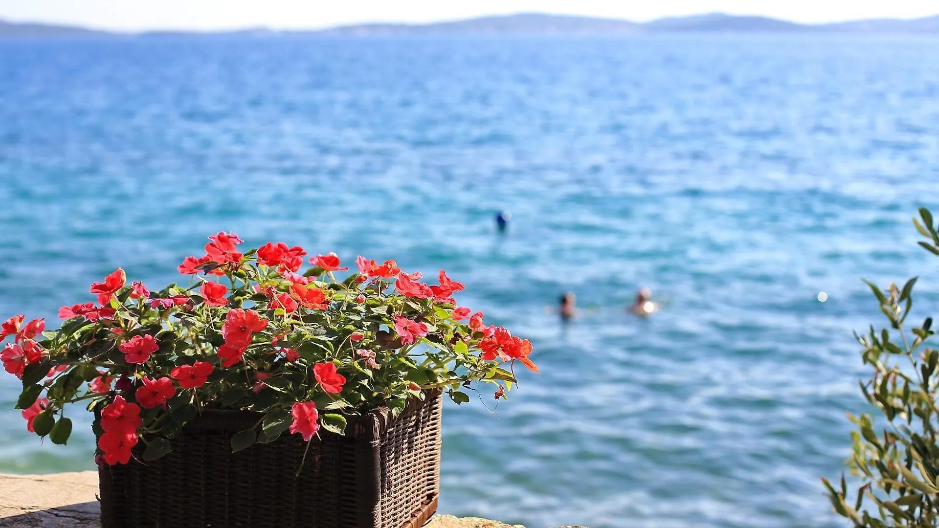 Apartman Apartmani Valerija I Joso Bibinje